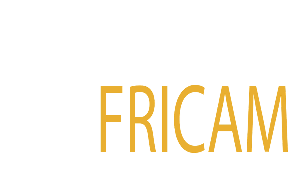 AFRICAM — Africa Assets Management